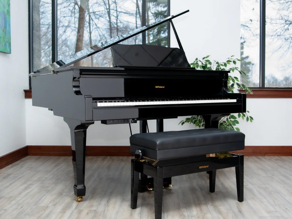 Roland GP-609 PE - Ảnh thực tế 3